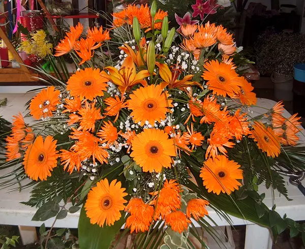Ikebana 5
