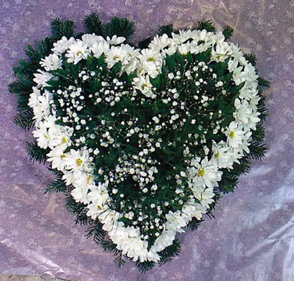 Ikebana 6