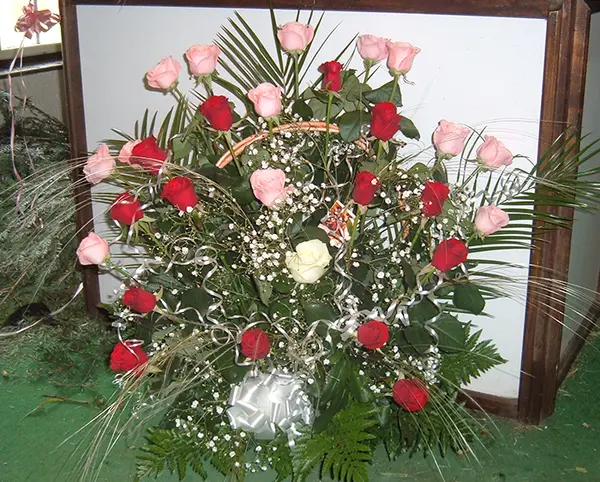 Korpa 5